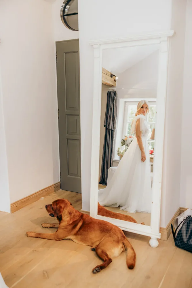 Brauner Hund liegt vor einem Spiegel beim Getting Ready in der Alten Gärtnerei München